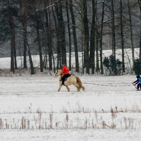 Kolorowe Wzgorze Agroturystyka I Konie Trojanow Экстерьер фото