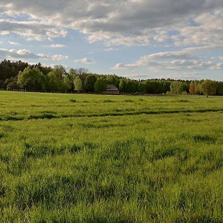 Kolorowe Wzgorze Agroturystyka I Konie Trojanow Экстерьер фото