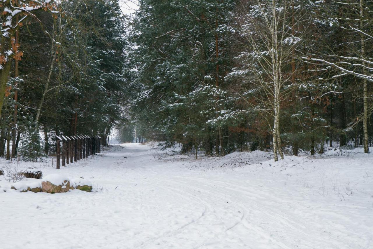 Kolorowe Wzgorze Agroturystyka I Konie Trojanow Экстерьер фото