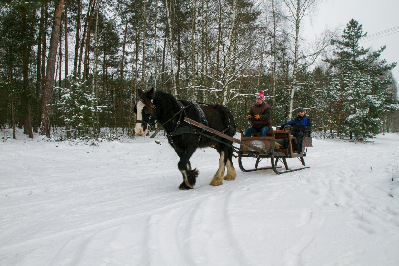 Kolorowe Wzgorze Agroturystyka I Konie Trojanow Экстерьер фото