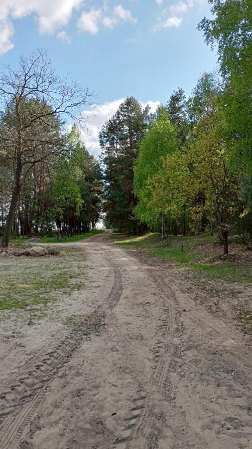 Kolorowe Wzgorze Agroturystyka I Konie Trojanow Экстерьер фото
