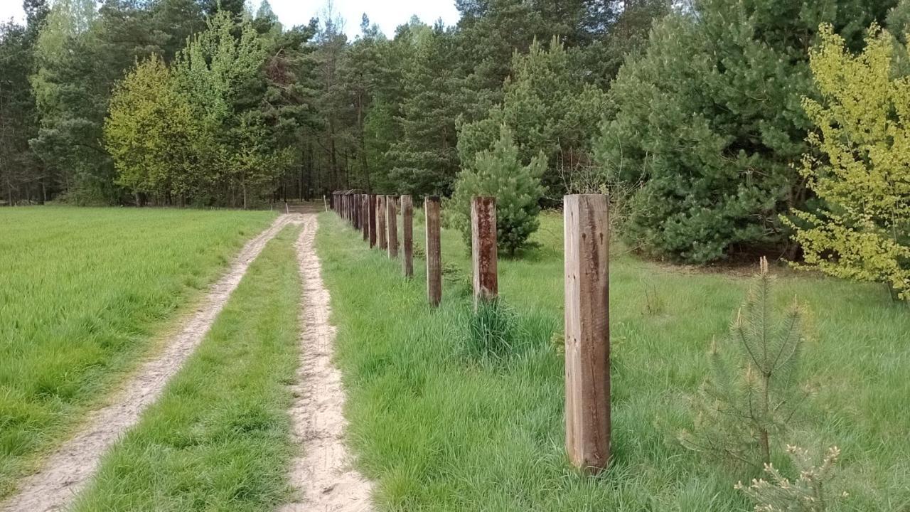 Kolorowe Wzgorze Agroturystyka I Konie Trojanow Экстерьер фото
